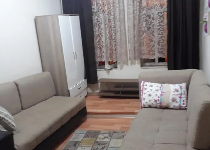 Loca Hotel económico Istambul