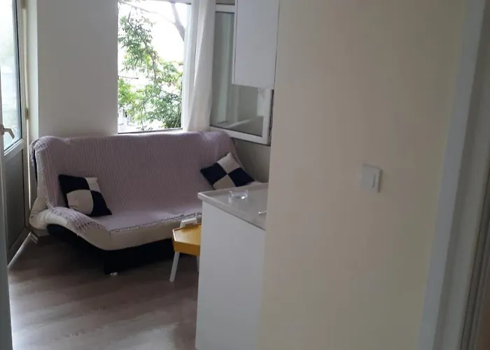 Hotel económico Loca *