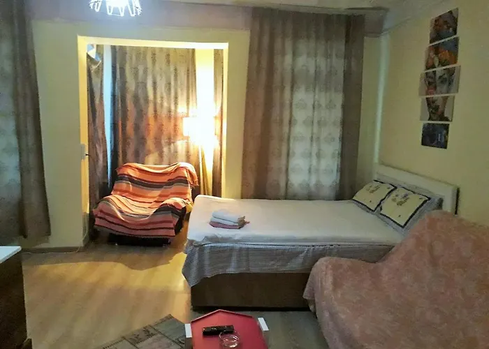 Loca Hotel económico Istambul